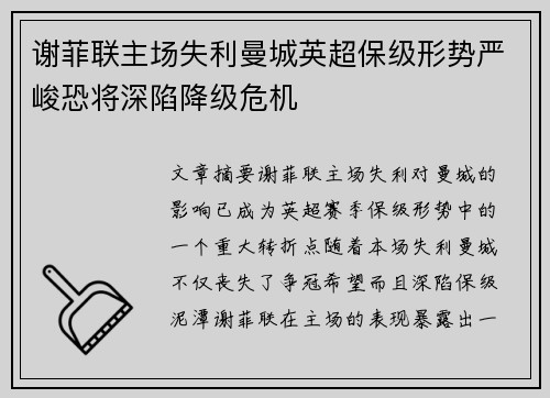 谢菲联主场失利曼城英超保级形势严峻恐将深陷降级危机